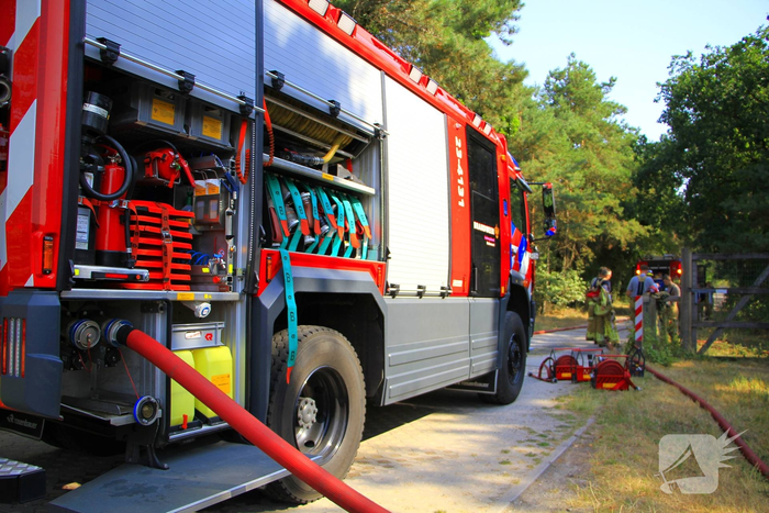 Bosbrand vernietigt aanzienlijk gebied