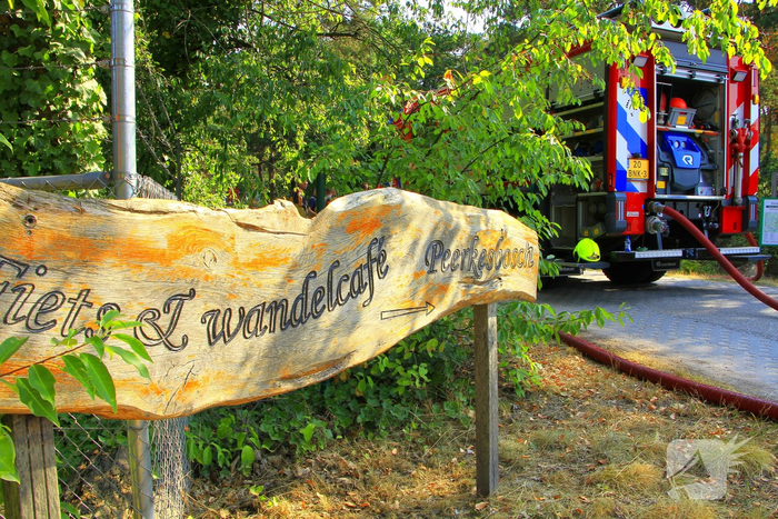 Bosbrand vernietigt aanzienlijk gebied