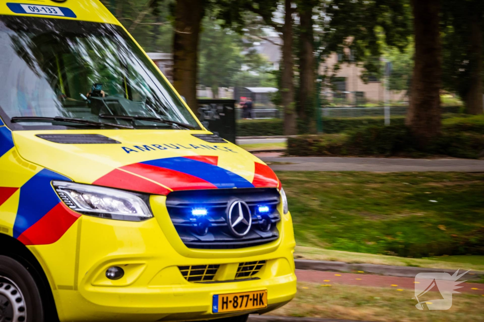 Automobilist botst tegen boom