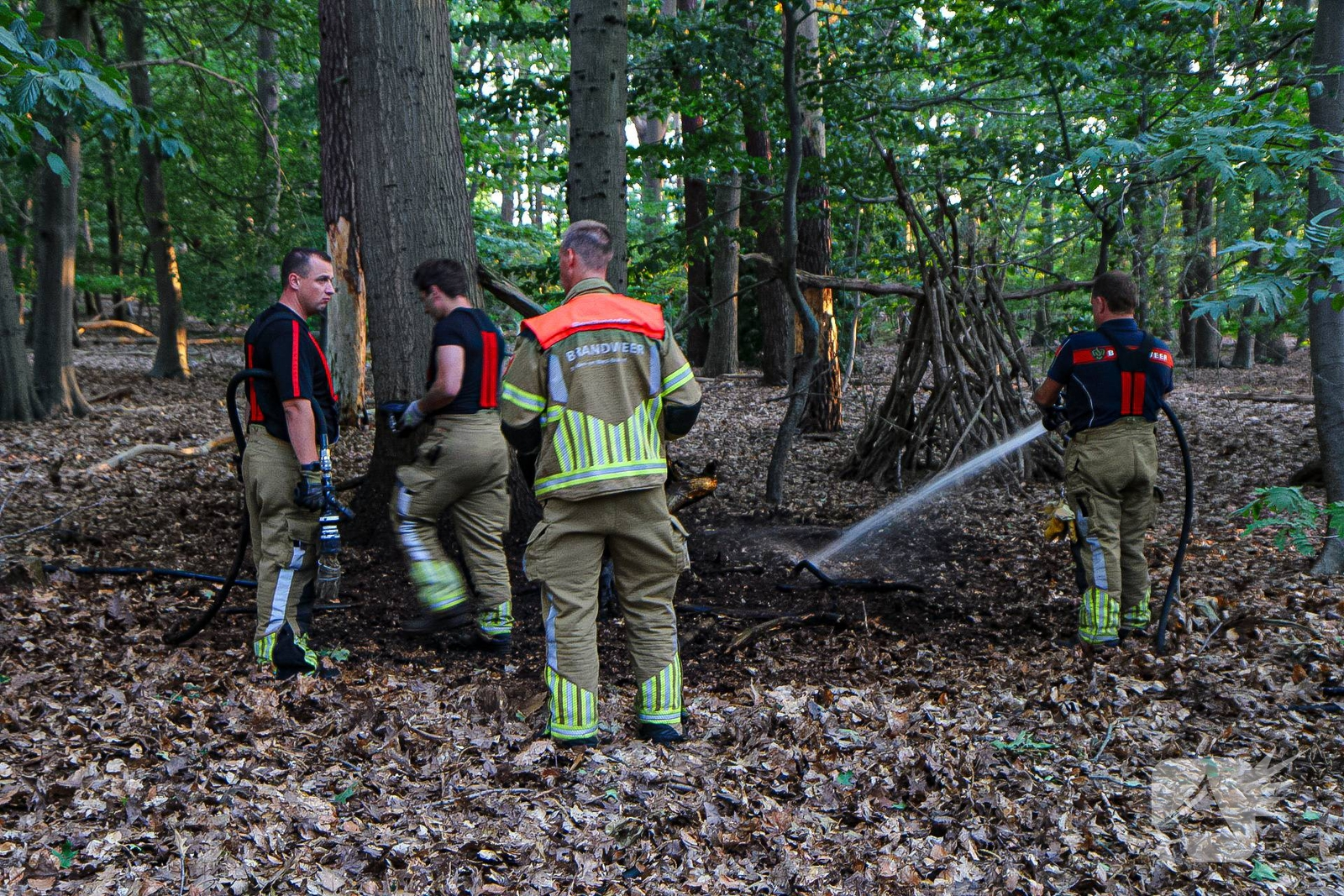 Bosbrand snel onder controle