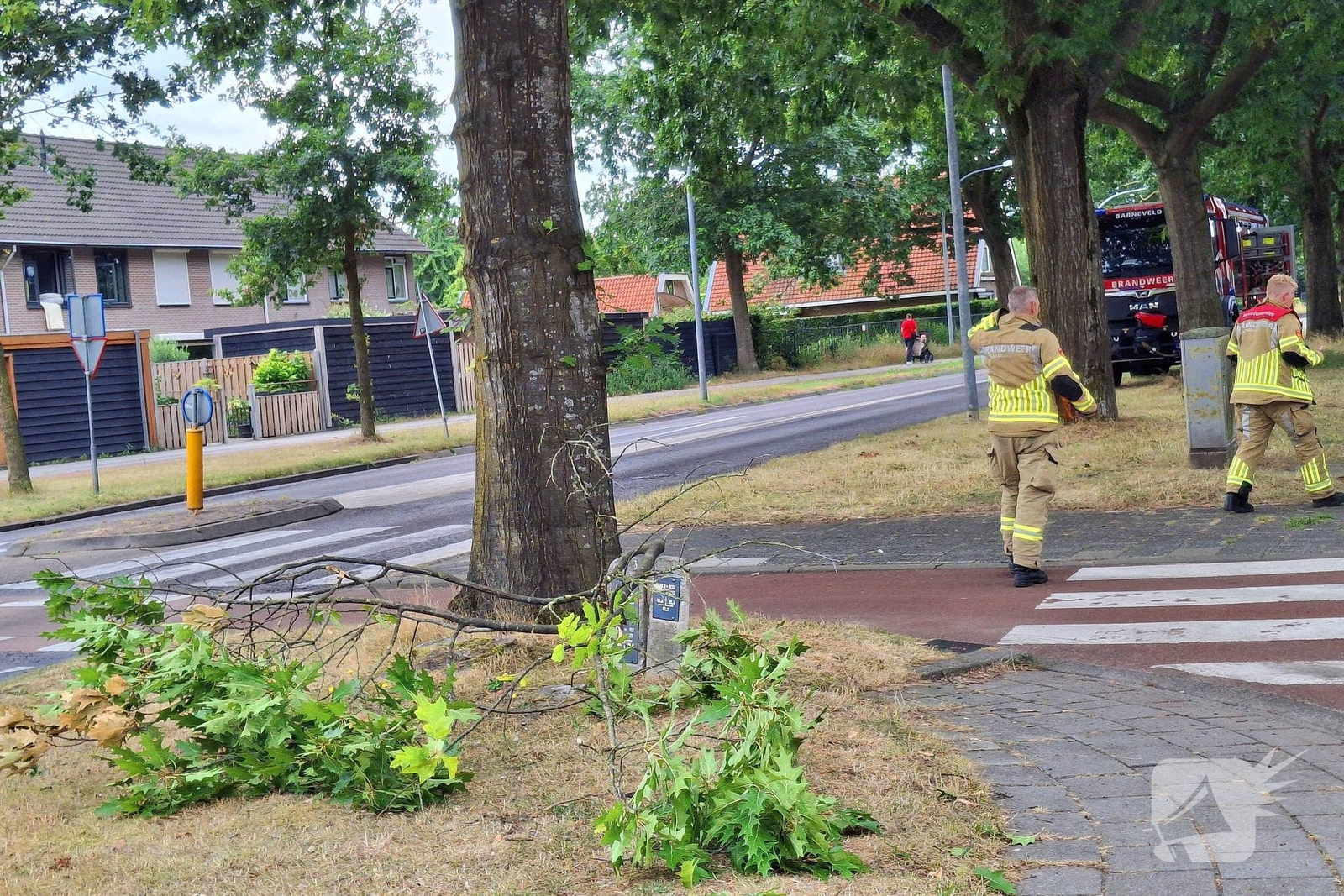 Brandweer verwijdert gevaarlijk hangende tak boven fietspad