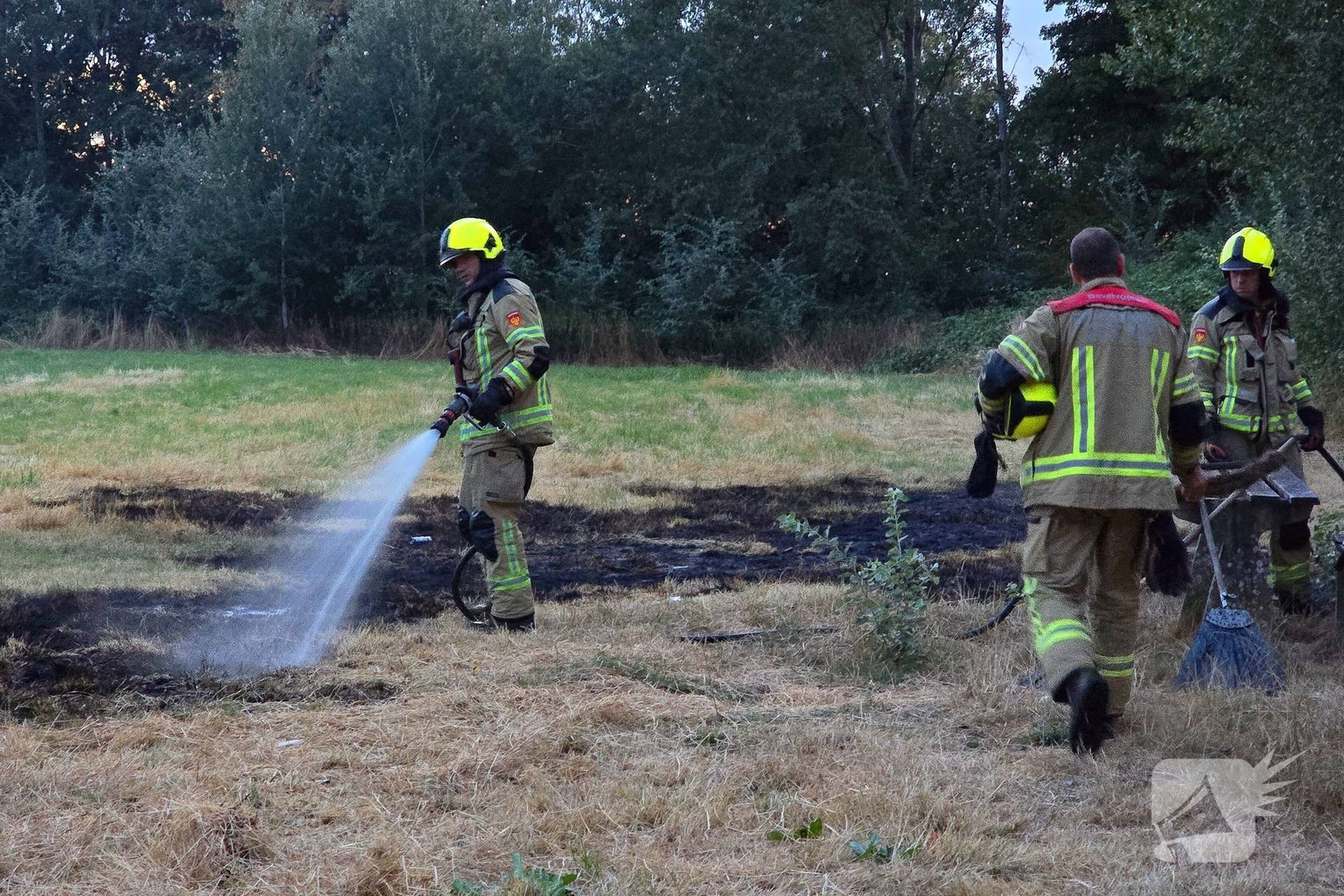 Brandweer snel in actie bij natuurbrand