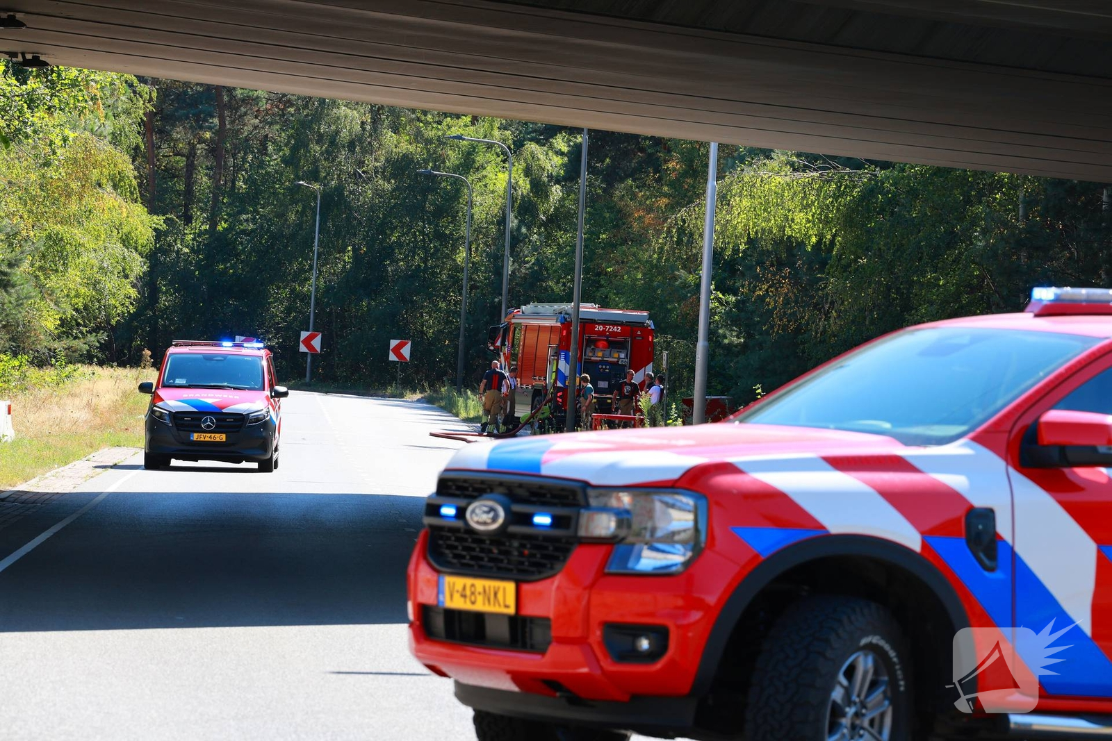 Brandweer schaalt uit voorzorg op bij bosbrand tijdens droogte