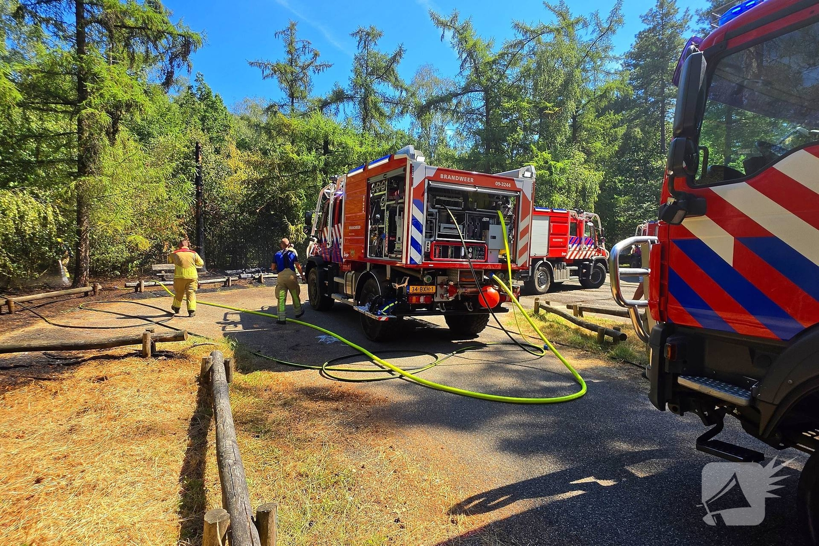 Beginnende bosbrand door snel optreden in de kiem gesmoord