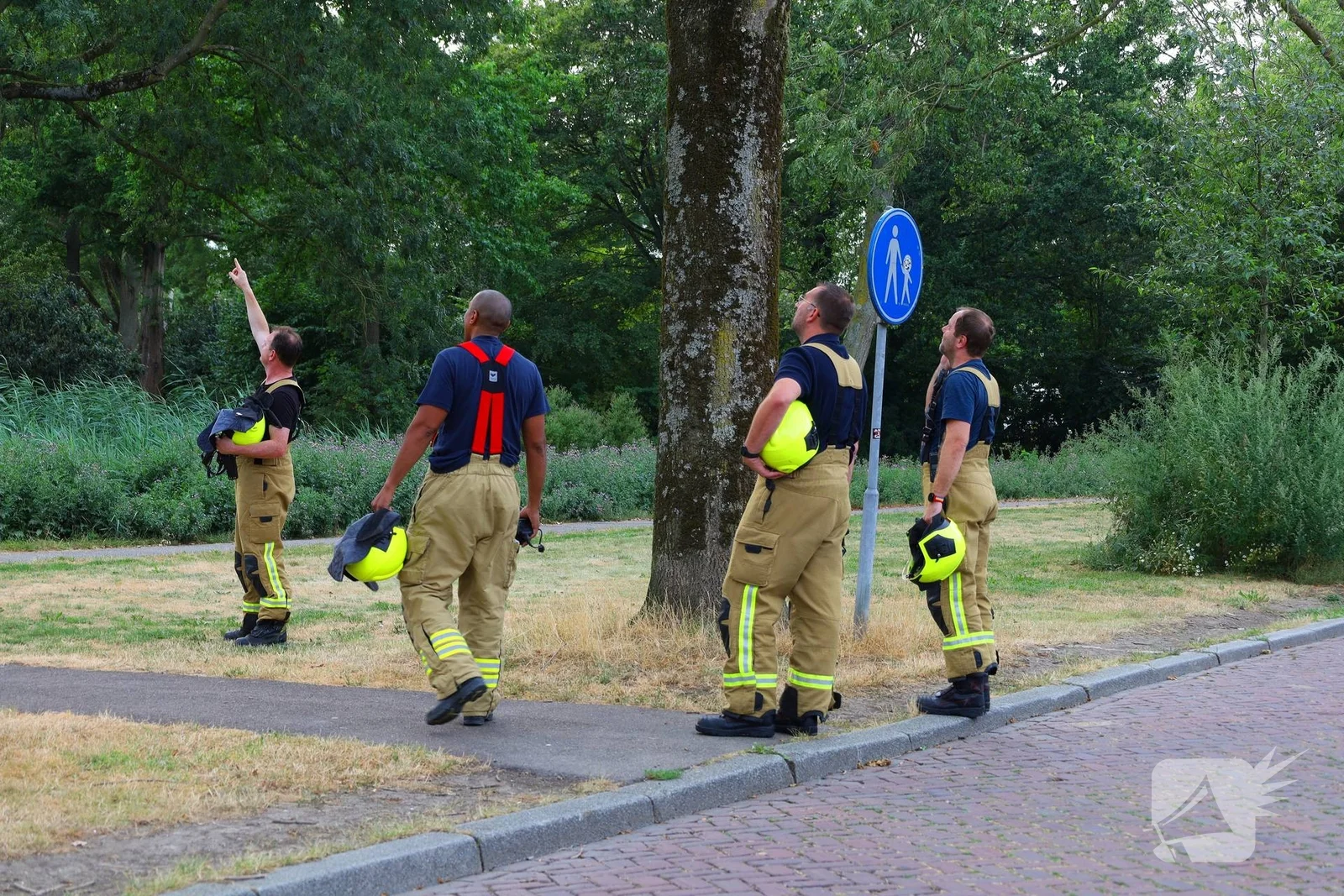 Brandweer zaagt boom omver na blikseminslag
