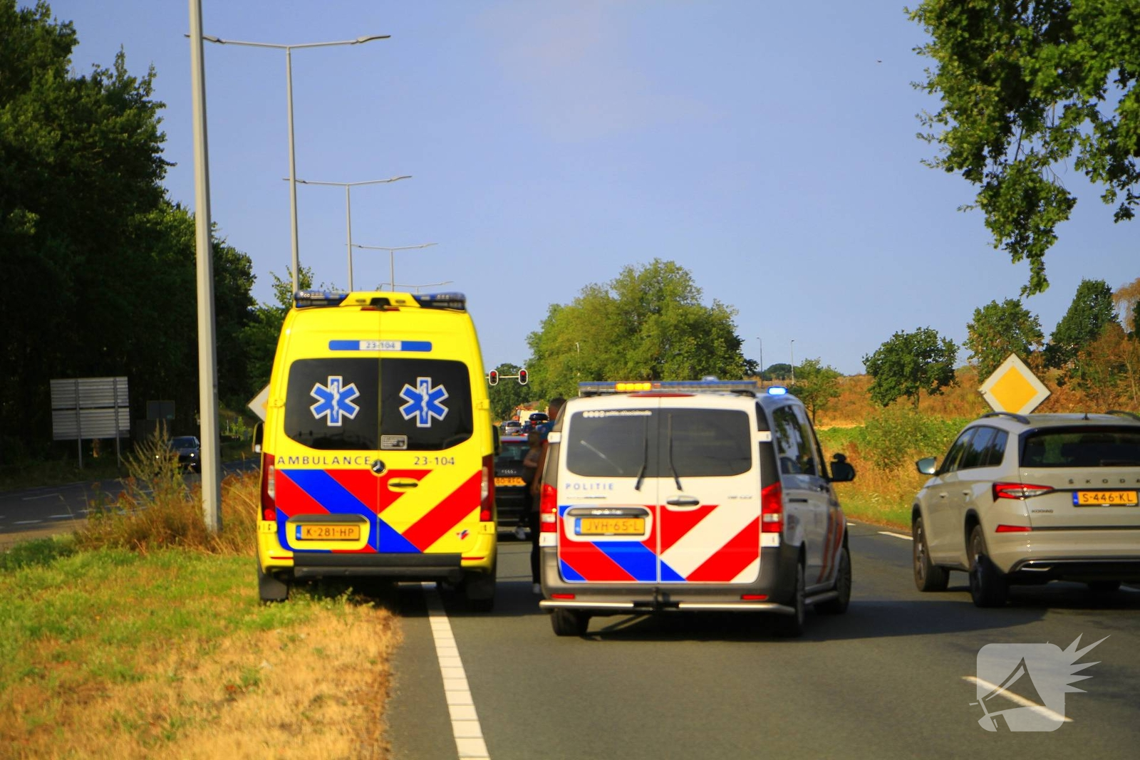 Aanrijding door remactie voor vogel