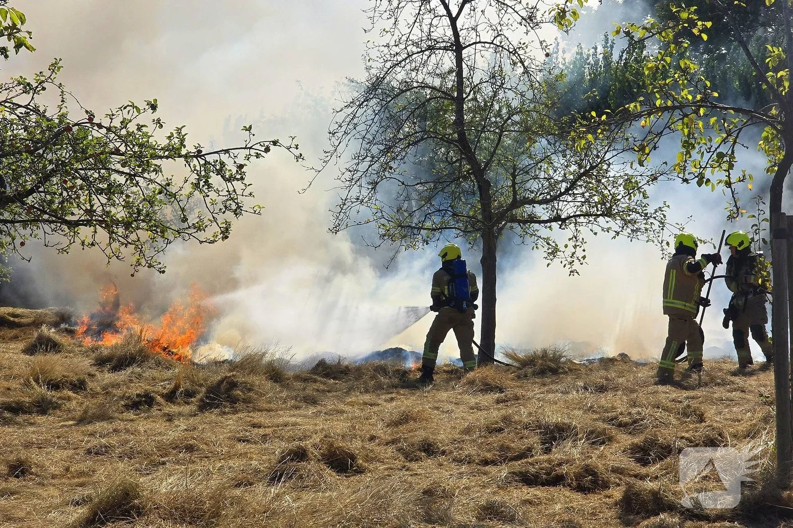 Brand in gemaaid veld veroorzaakt inzet brandweer