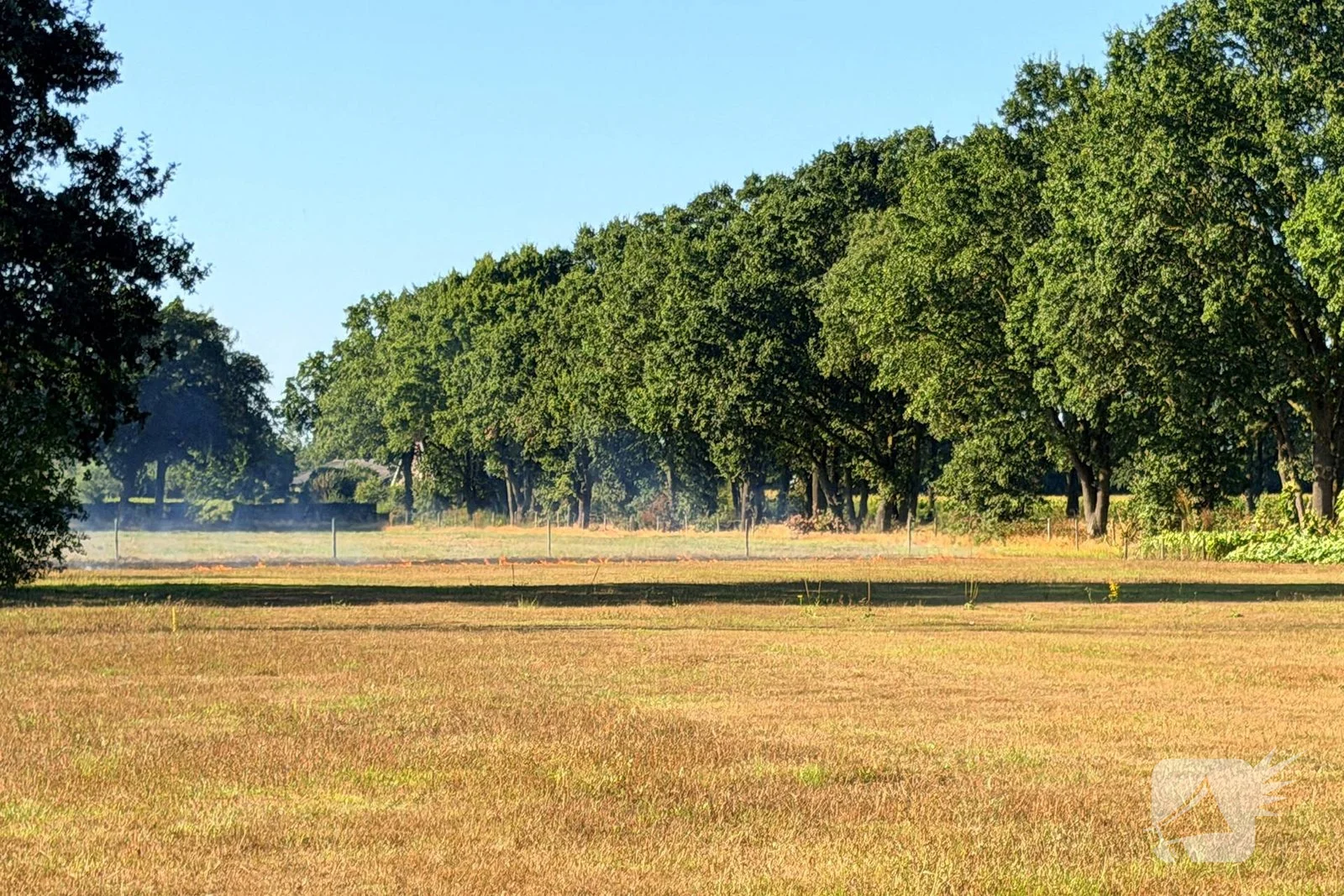 Buitenbrand op weiland geblust