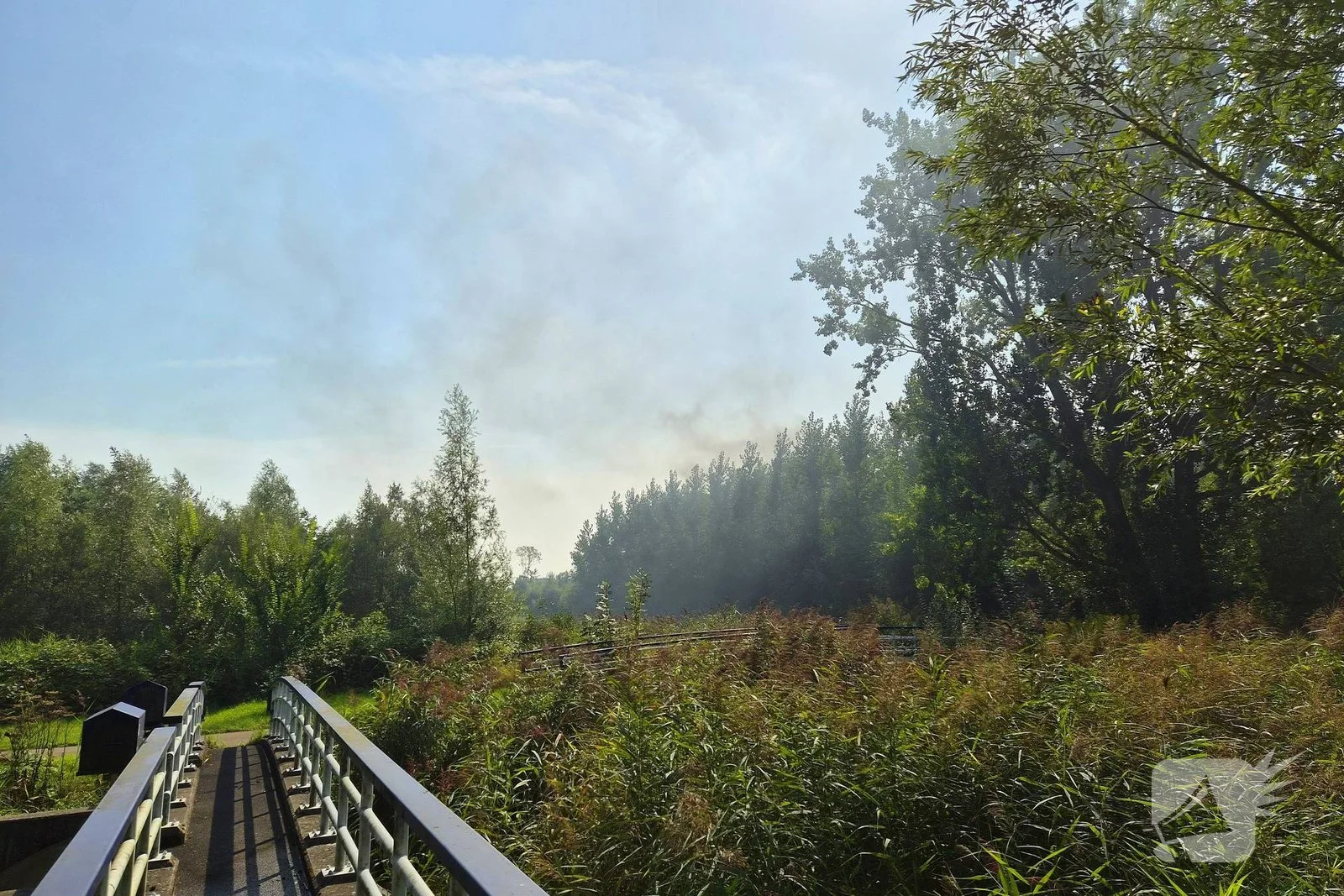 Hulpdiensten blussen brand in struikgewas