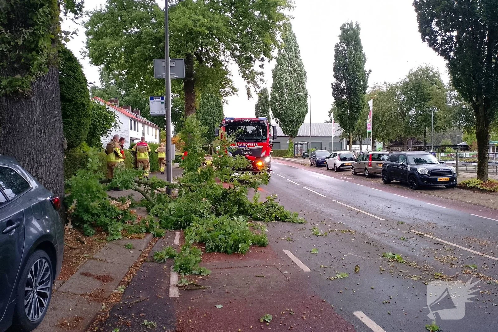 Afgebroken boomtak blokkeert weg
