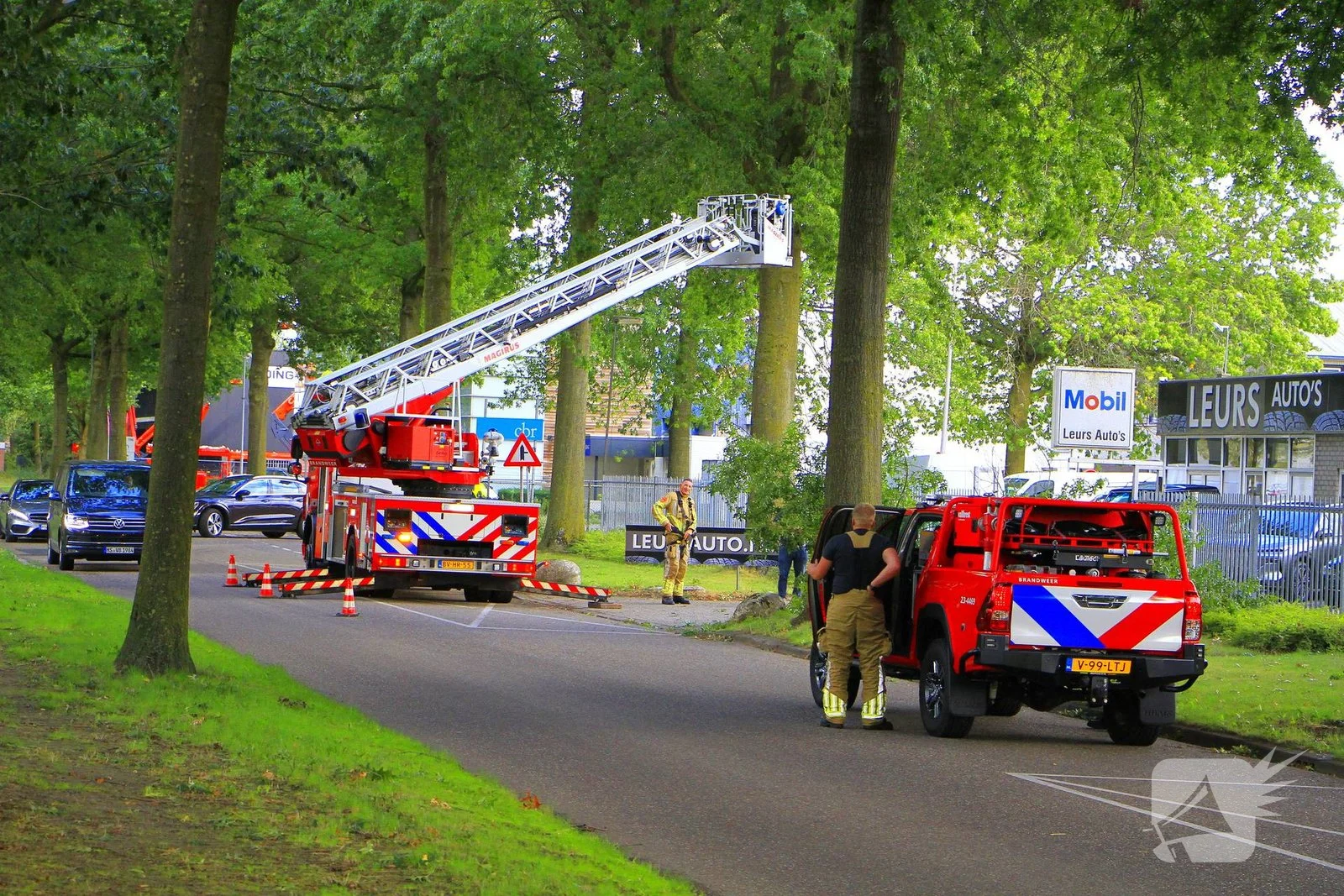 Grote tak valt uit boom en blokkeert toegang bedrijf