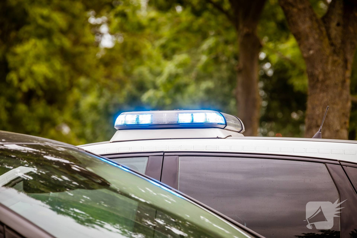 steekincident melassekaai bergen op zoom
