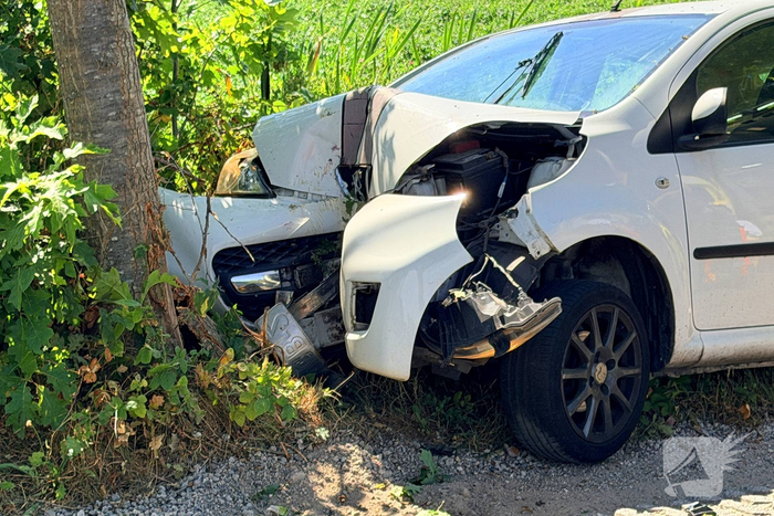 Automobiliste gewond na botsing tegen boom