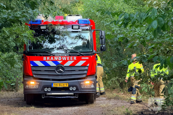 Bosbrand laait opnieuw op
