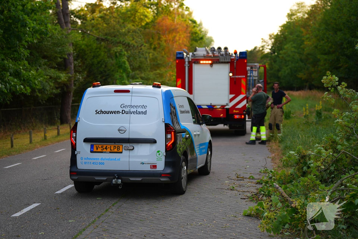 natuur strandweg burgh-haamstede