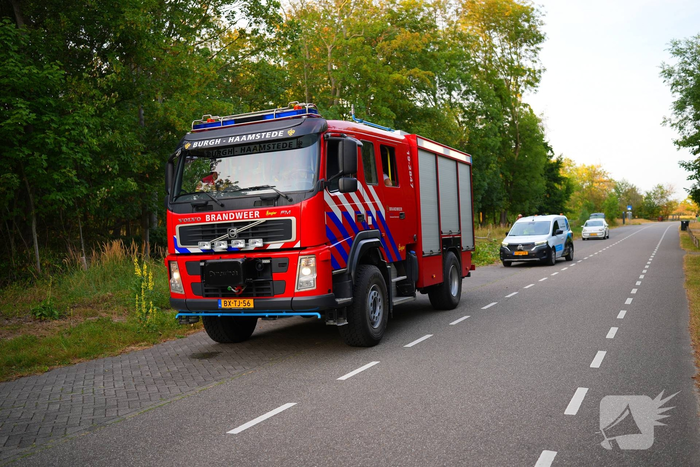 Brandweer maakt omgevallen boom klein