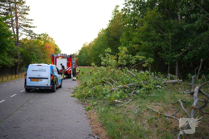 Brandweer maakt omgevallen boom klein
