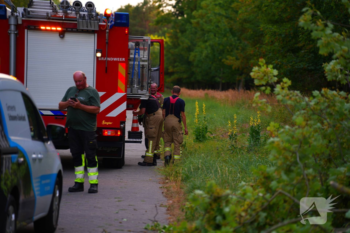 Brandweer maakt omgevallen boom klein