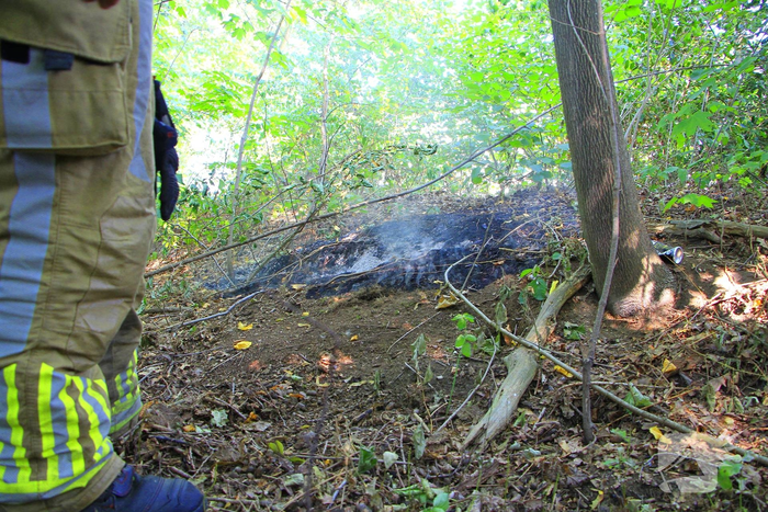 Brand in berm snel geblust