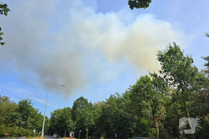 Flinke rookwolken bij grote bosbrand