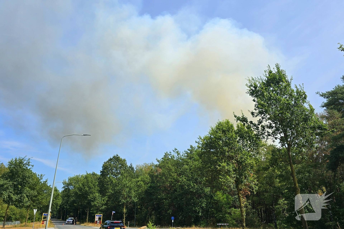 Flinke rookwolken bij grote bosbrand