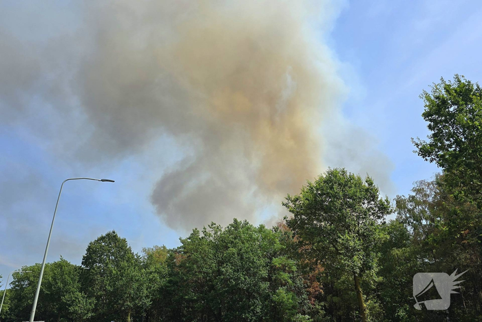 Flinke rookwolken bij grote bosbrand