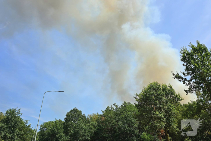 Flinke rookwolken bij grote bosbrand