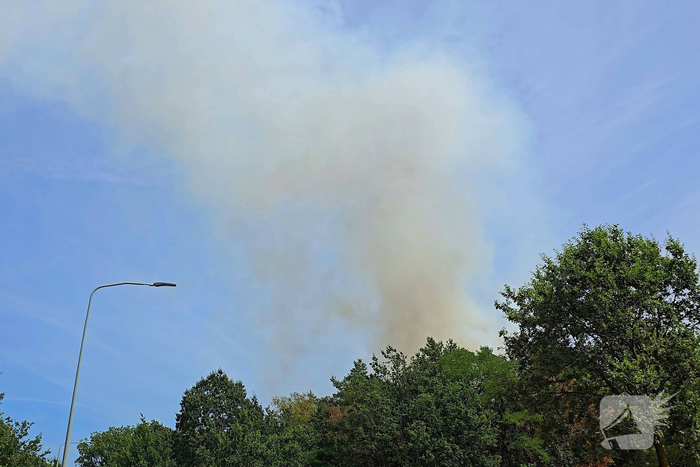 Flinke rookwolken bij grote bosbrand