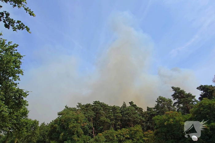 Flinke rookwolken bij grote bosbrand