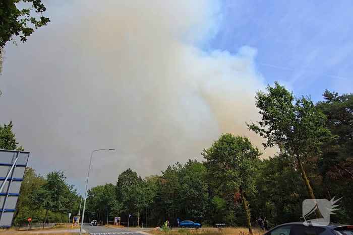 Flinke rookwolken bij grote bosbrand