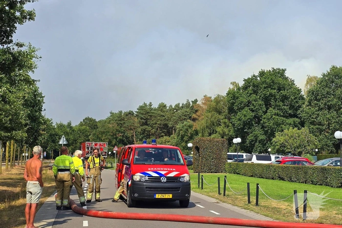 Flinke rookwolken bij grote bosbrand