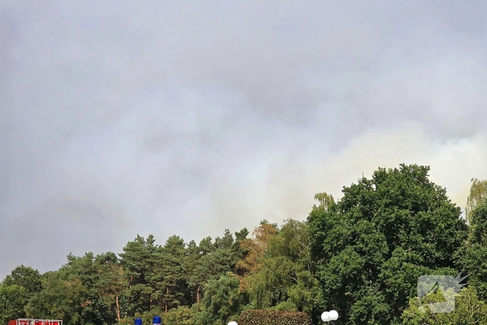 Flinke rookwolken bij grote bosbrand