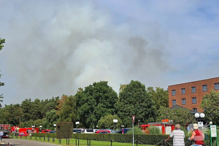 Flinke rookwolken bij grote bosbrand