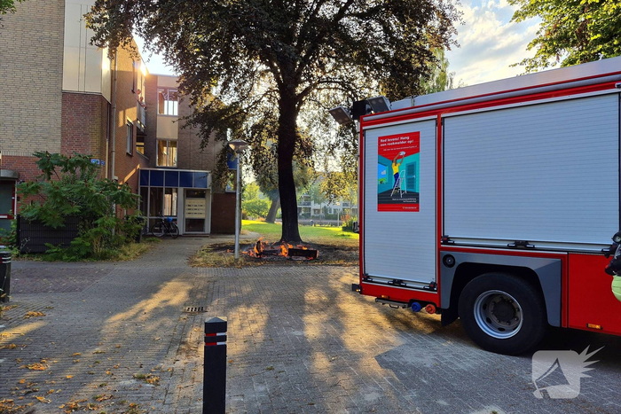 Brandweer blust brandend object tegen boom