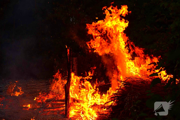 Flinke vlammen bij brand in bosschages