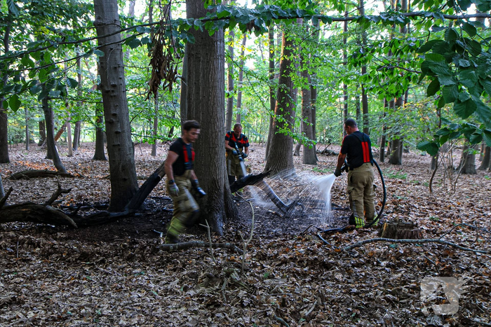 Bosbrand snel onder controle