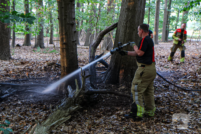 Bosbrand snel onder controle
