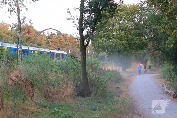Jongeren opgemerkt langs het spoor