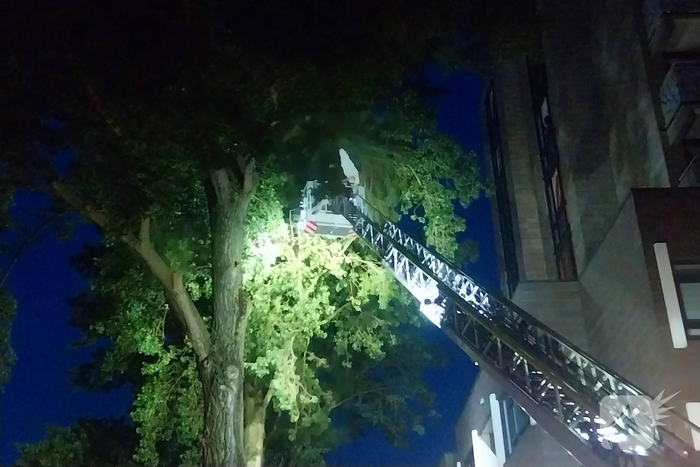 Brandweer haalt parasol uit boom met autoladder