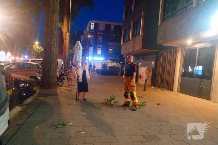 Brandweer haalt parasol uit boom met autoladder