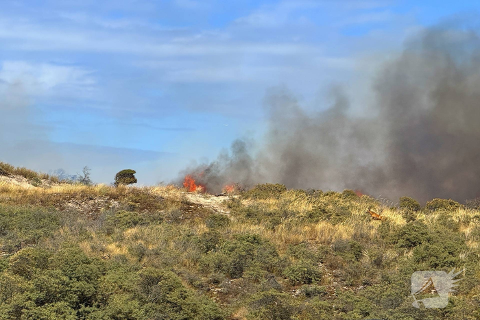 brand de wassenaarse slag wassenaar