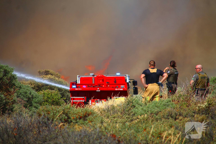 Brand in duinen zorgt voor grote rookontwikkeling