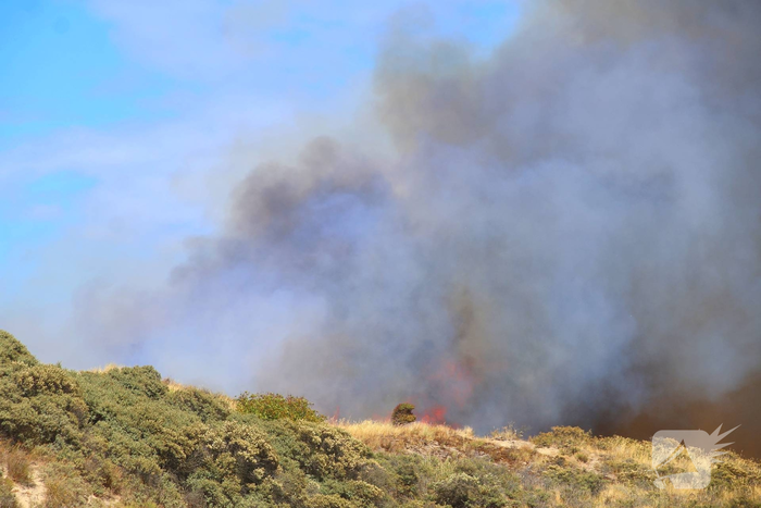 Brand in duinen zorgt voor grote rookontwikkeling