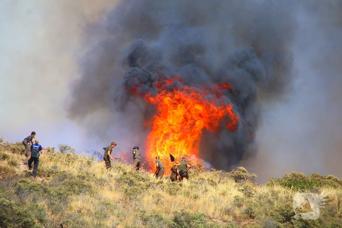 Brand in duinen zorgt voor grote rookontwikkeling