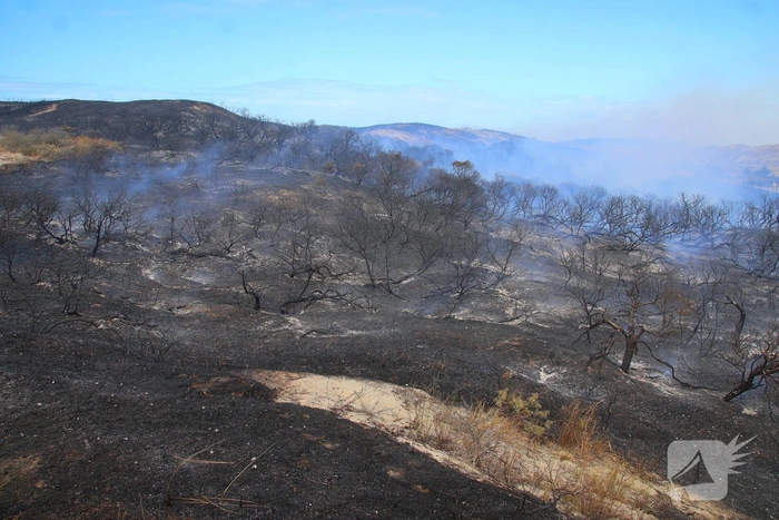 Brand in duinen zorgt voor grote rookontwikkeling