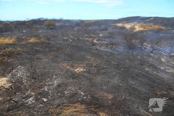 Brand in duinen zorgt voor grote rookontwikkeling