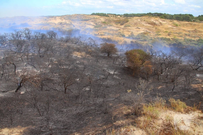 Brand in duinen zorgt voor grote rookontwikkeling