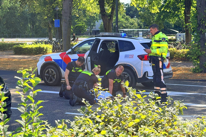 Man met verward gedrag springt voor bedrijfsbus en zorgt voor opschudding