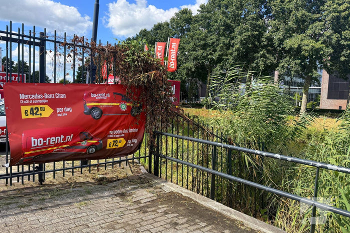 Brand in riet langs water snel onder controle