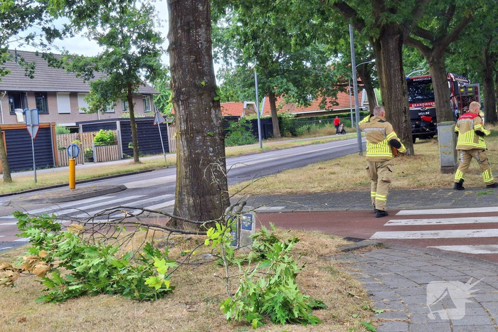 natuur rooseveltstraat barneveld